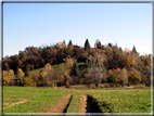 foto Paesaggi Autunnali tra le colline Fontesi